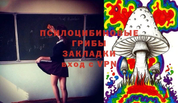 амф Белоозёрский